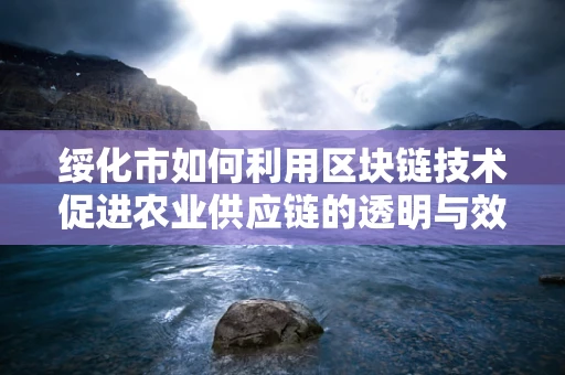 绥化市如何利用区块链技术促进农业供应链的透明与效率？