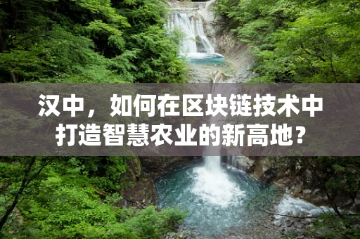 汉中，如何在区块链技术中打造智慧农业的新高地？