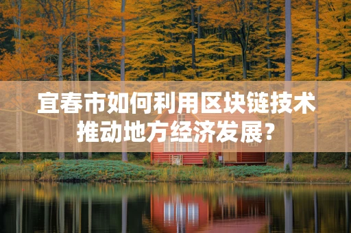 宜春市如何利用区块链技术推动地方经济发展？