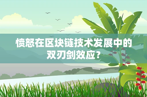 愤怒在区块链技术发展中的双刃剑效应？