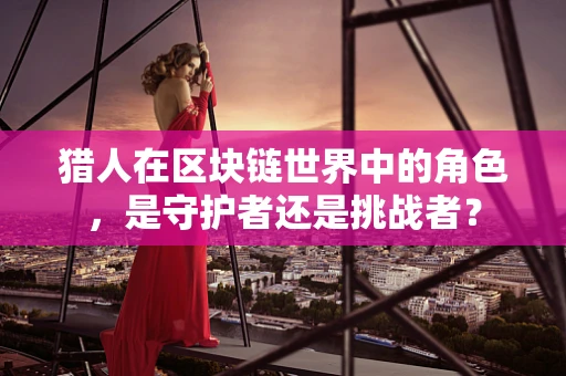 猎人在区块链世界中的角色，是守护者还是挑战者？
