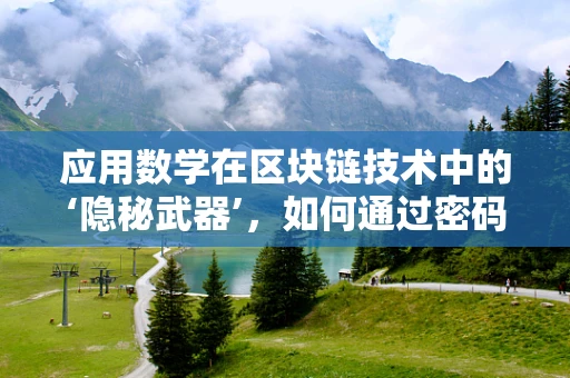 应用数学在区块链技术中的‘隐秘武器’，如何通过密码学保障交易安全？