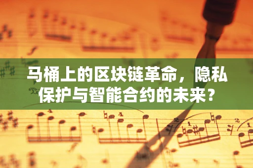 马桶上的区块链革命，隐私保护与智能合约的未来？