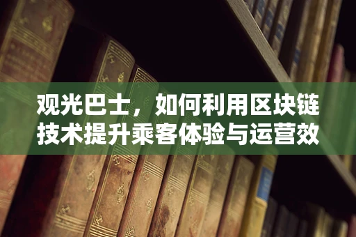 观光巴士，如何利用区块链技术提升乘客体验与运营效率？