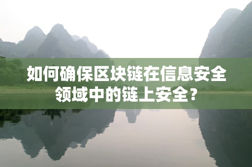 如何确保区块链在信息安全领域中的链上安全？