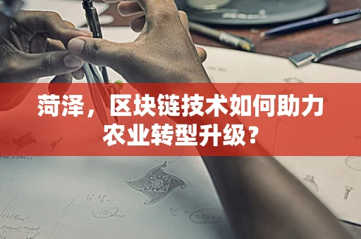 菏泽，区块链技术如何助力农业转型升级？