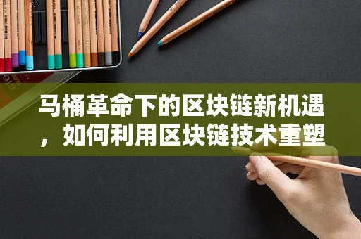 马桶革命下的区块链新机遇，如何利用区块链技术重塑卫生领域？