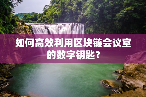 如何高效利用区块链会议室的数字钥匙？