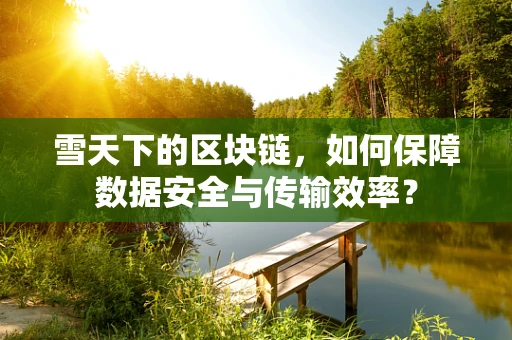 雪天下的区块链，如何保障数据安全与传输效率？