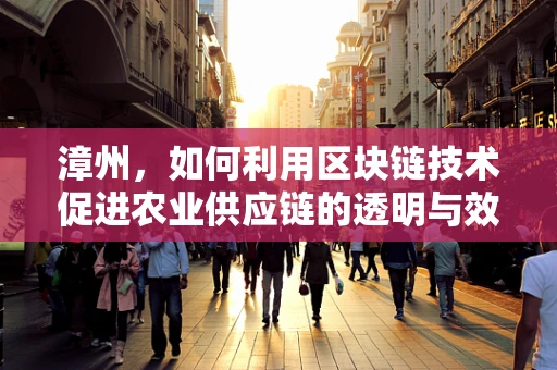 漳州，如何利用区块链技术促进农业供应链的透明与效率？