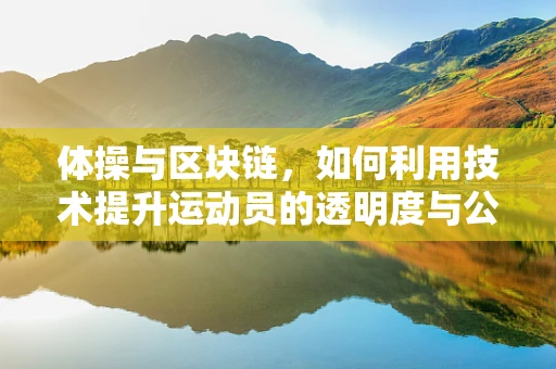 体操与区块链，如何利用技术提升运动员的透明度与公平性？