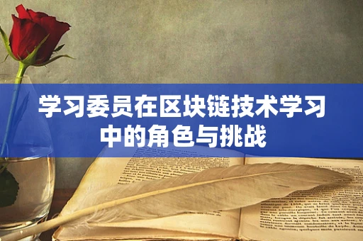 学习委员在区块链技术学习中的角色与挑战