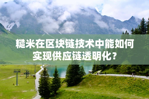 糙米在区块链技术中能如何实现供应链透明化？
