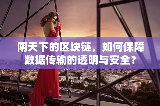 阴天下的区块链，如何保障数据传输的透明与安全？