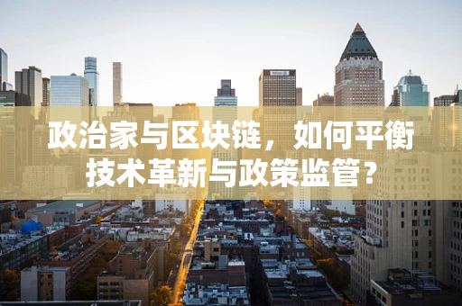 政治家与区块链，如何平衡技术革新与政策监管？