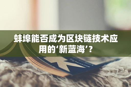 蚌埠能否成为区块链技术应用的‘新蓝海’？