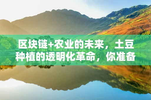 区块链+农业的未来，土豆种植的透明化革命，你准备好了吗？