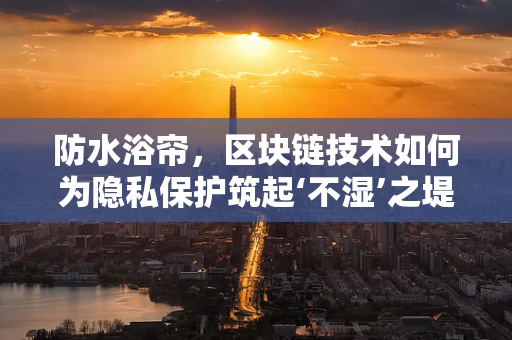 防水浴帘，区块链技术如何为隐私保护筑起‘不湿’之堤？