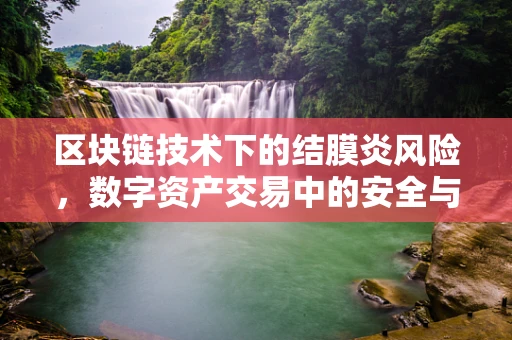 区块链技术下的结膜炎风险，数字资产交易中的安全与健康隐患？