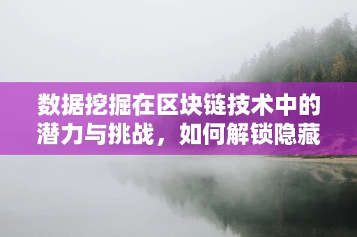 数据挖掘在区块链技术中的潜力与挑战，如何解锁隐藏的价值？