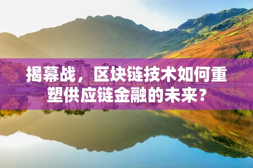 揭幕战，区块链技术如何重塑供应链金融的未来？
