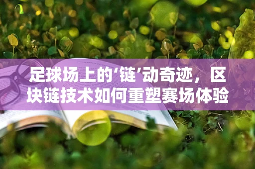 足球场上的‘链’动奇迹，区块链技术如何重塑赛场体验？