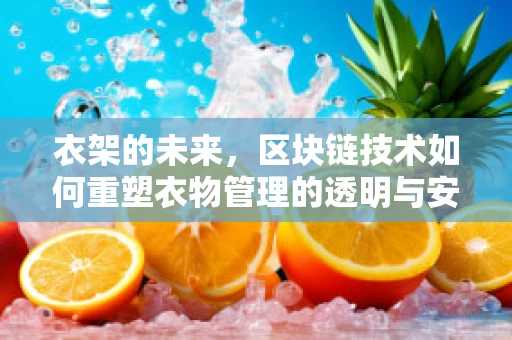 衣架的未来，区块链技术如何重塑衣物管理的透明与安全？