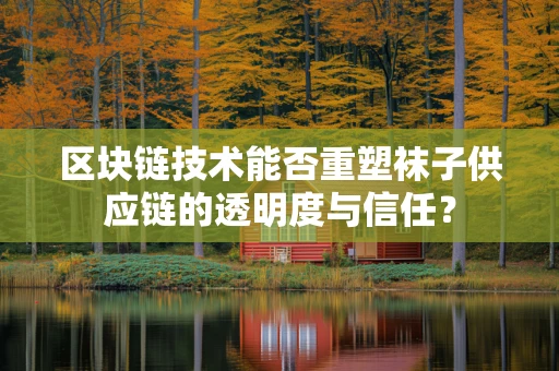 区块链技术能否重塑袜子供应链的透明度与信任？