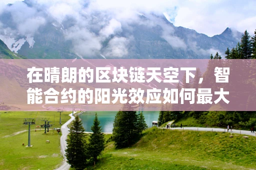在晴朗的区块链天空下，智能合约的阳光效应如何最大化？