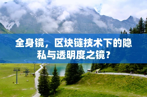 全身镜，区块链技术下的隐私与透明度之镜？