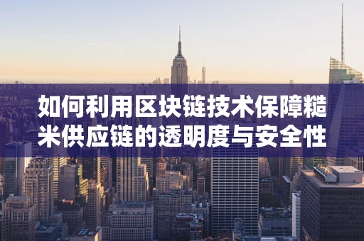 如何利用区块链技术保障糙米供应链的透明度与安全性？