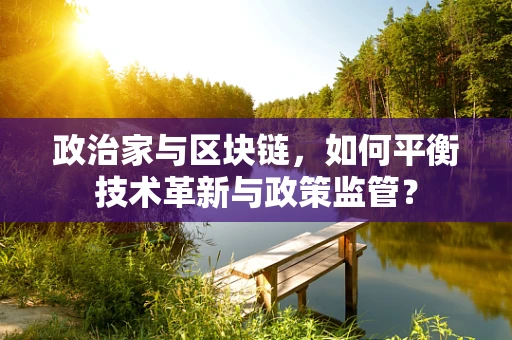 政治家与区块链，如何平衡技术革新与政策监管？