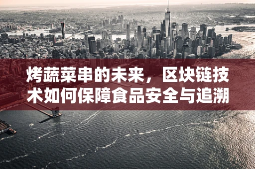 烤蔬菜串的未来，区块链技术如何保障食品安全与追溯？