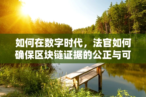 如何在数字时代，法官如何确保区块链证据的公正与可信？