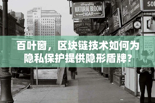 百叶窗，区块链技术如何为隐私保护提供隐形盾牌？