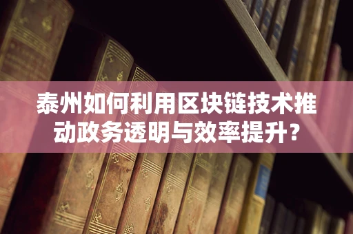 泰州如何利用区块链技术推动政务透明与效率提升？