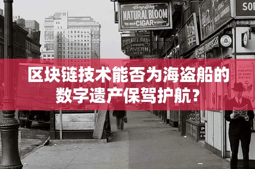 区块链技术能否为海盗船的数字遗产保驾护航？
