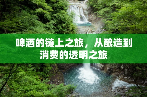 啤酒的链上之旅，从酿造到消费的透明之旅