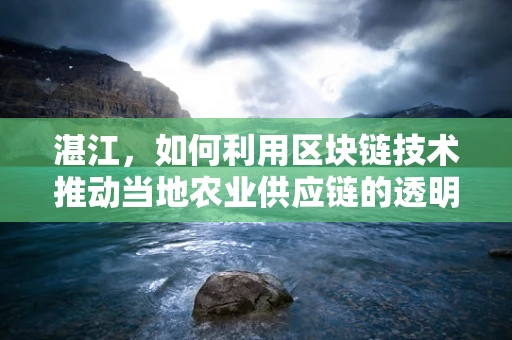 湛江，如何利用区块链技术推动当地农业供应链的透明化与效率提升？