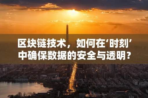 区块链技术，如何在‘时刻’中确保数据的安全与透明？