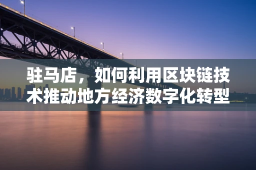 驻马店，如何利用区块链技术推动地方经济数字化转型？