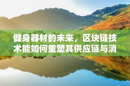 健身器材的未来，区块链技术能如何重塑其供应链与消费者信任？