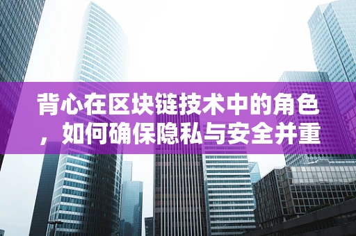 背心在区块链技术中的角色，如何确保隐私与安全并重？