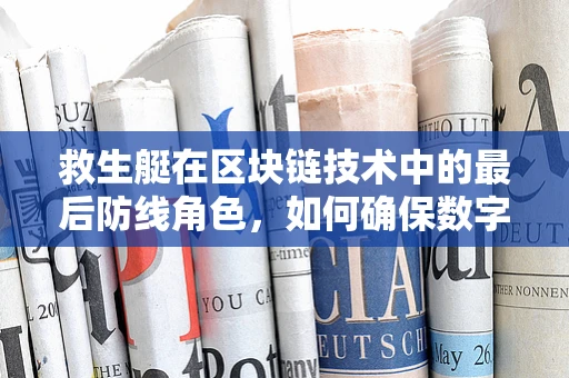 救生艇在区块链技术中的最后防线角色，如何确保数字安全逃生通道的畅通无阻？