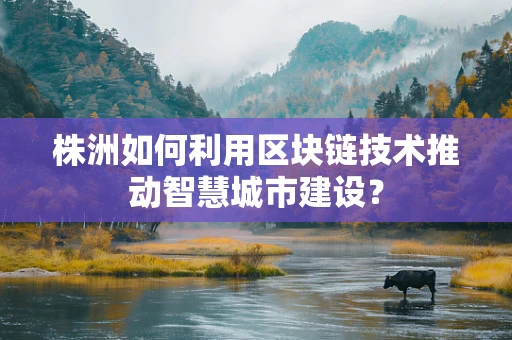 株洲如何利用区块链技术推动智慧城市建设？