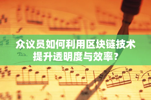 众议员如何利用区块链技术提升透明度与效率？