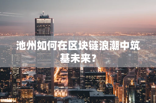 池州如何在区块链浪潮中筑基未来？