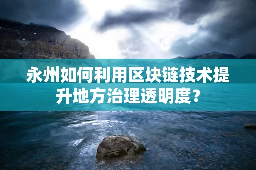 永州如何利用区块链技术提升地方治理透明度？