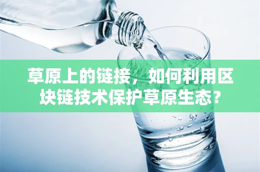 草原上的链接，如何利用区块链技术保护草原生态？