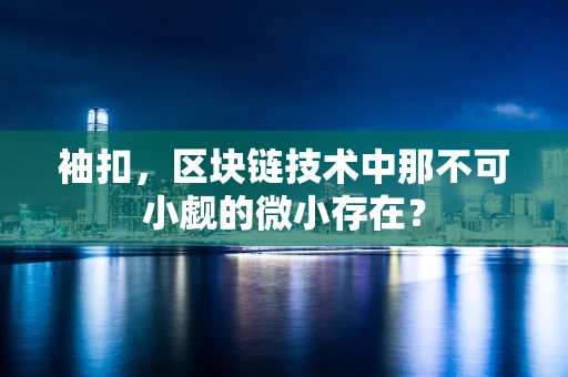 袖扣，区块链技术中那不可小觑的微小存在？
